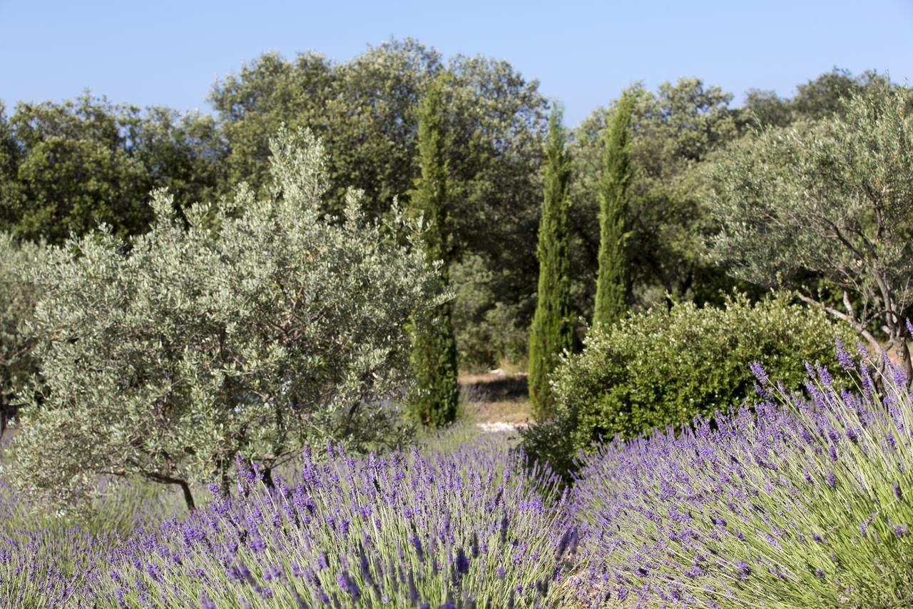 La Cle Des Champs, Boutique Hotel & Spa - Le Mas De Garrigon Русийон Экстерьер фото